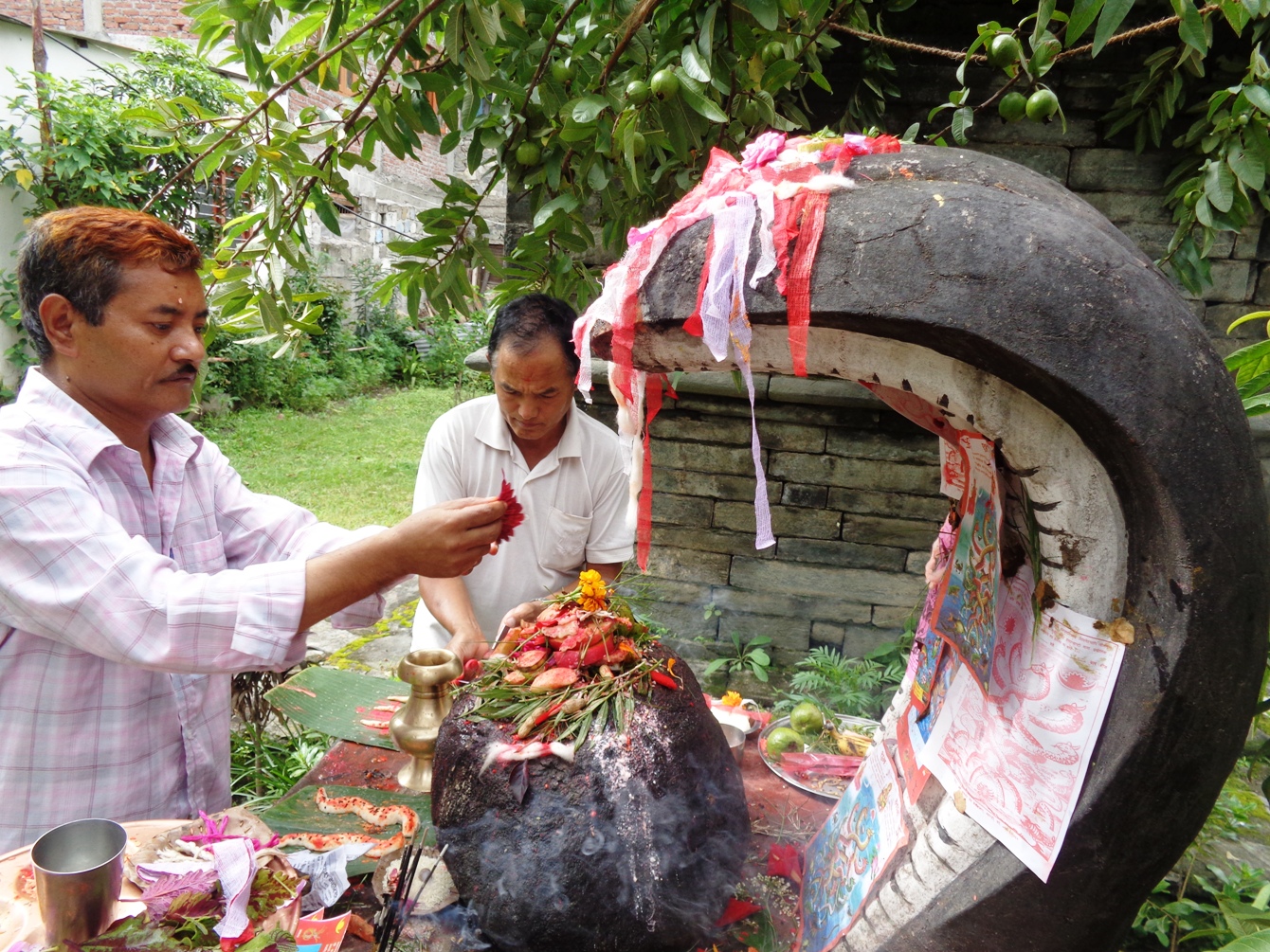 आज नागपञ्चमी, परम्पराअनुसार नागको पूजा अर्चना गरेर मनाइँदै